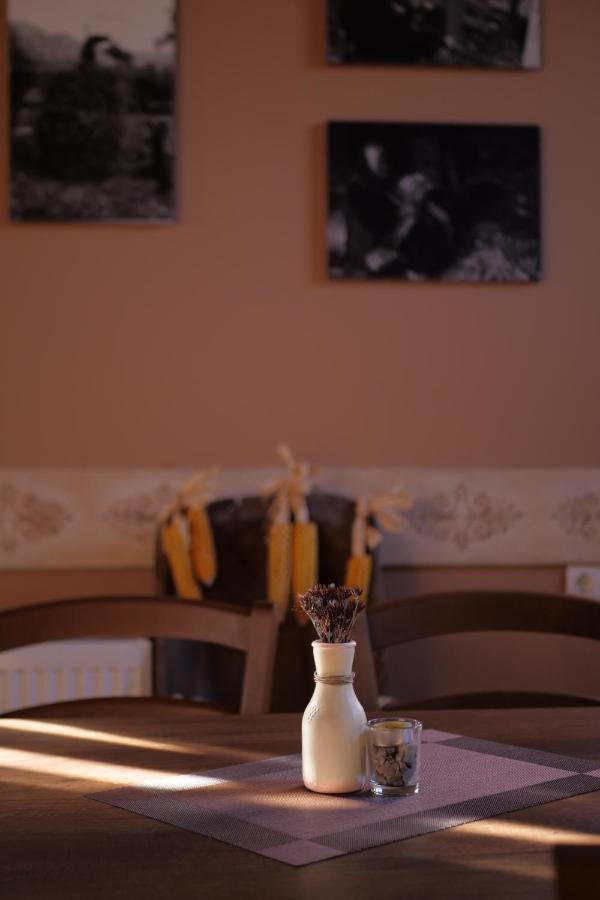 Homestay Peklaritiko Steki Pigi (Ioannina)